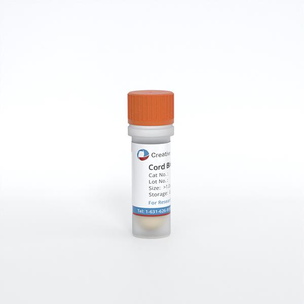 Cord Blood-CD133+ Cells (Single)